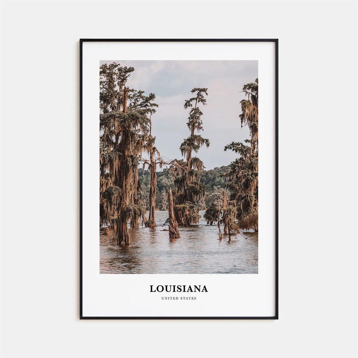 Louisiana Bayou Cypress Swamp Trees Nature Photography Poster