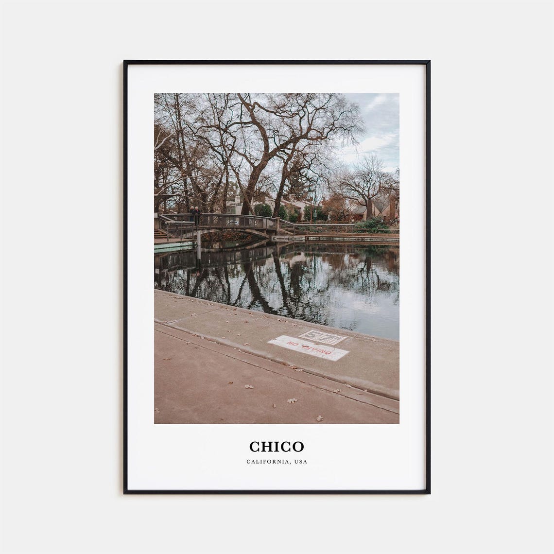 Chico California USA Tranquil Park Pond Bridge Reflection Photo Poster
