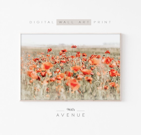 Field Of Poppies, Wildflower Landscape Art Print