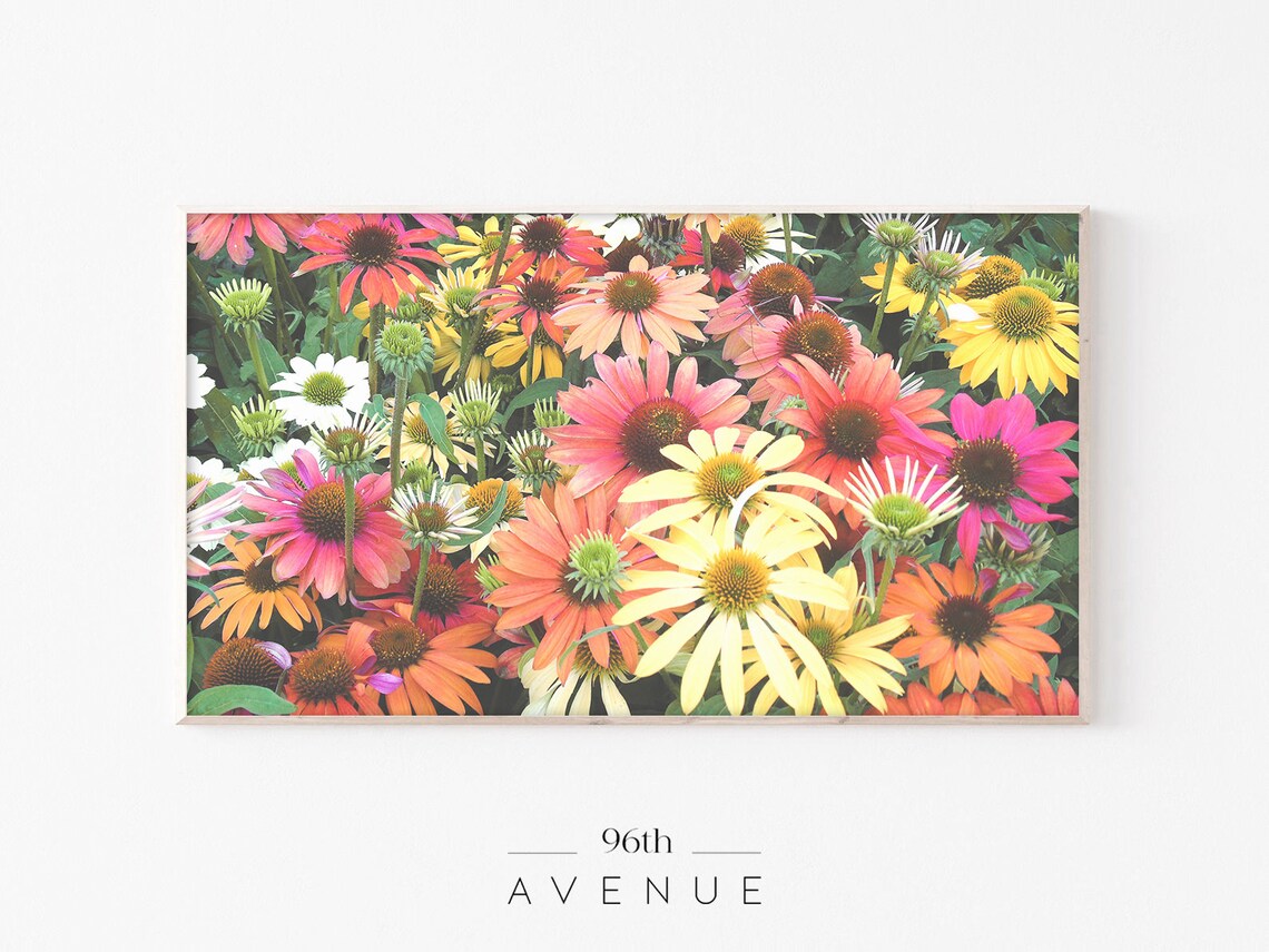 Colorful Flowers TV Art, Floral Wall Art Print