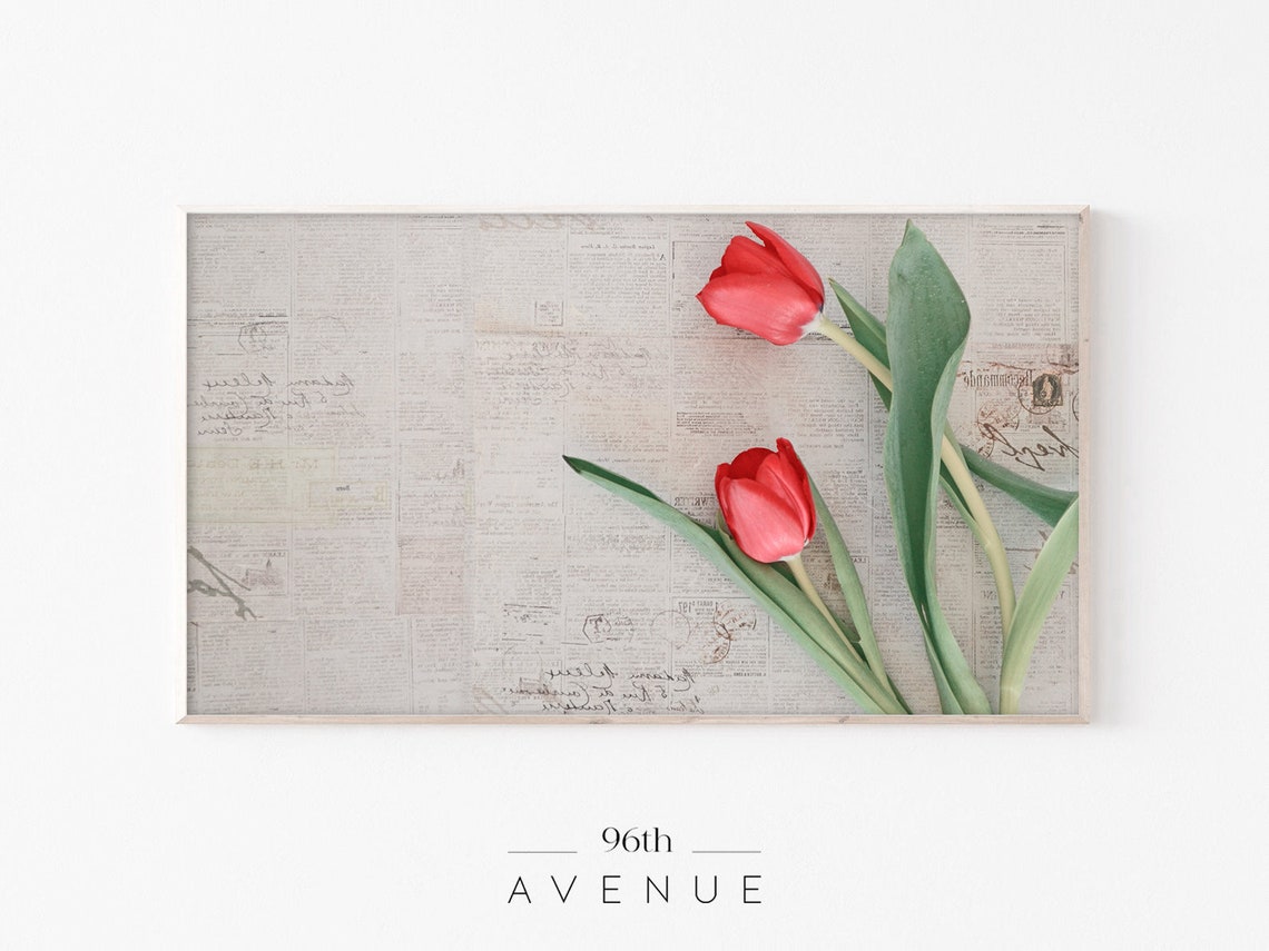 Two Red Tulips on Vintage Newspaper Background Spring Photo Poster