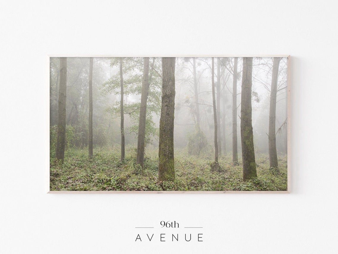 Foggy Forest Tall Bare Trees Misty Woodland Scene Landscape Poster