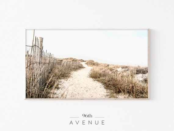 Beach Grass Coastal Landscape Art Print
