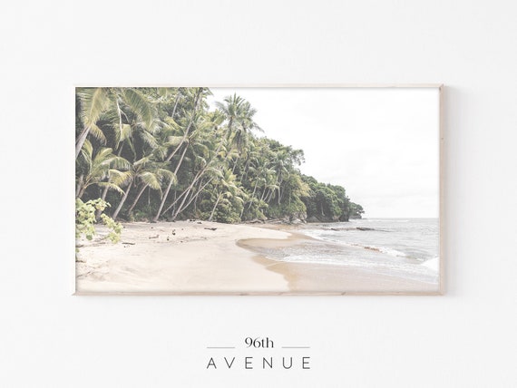 Tropical Landscape TV Art, Palm Trees Travel Poster