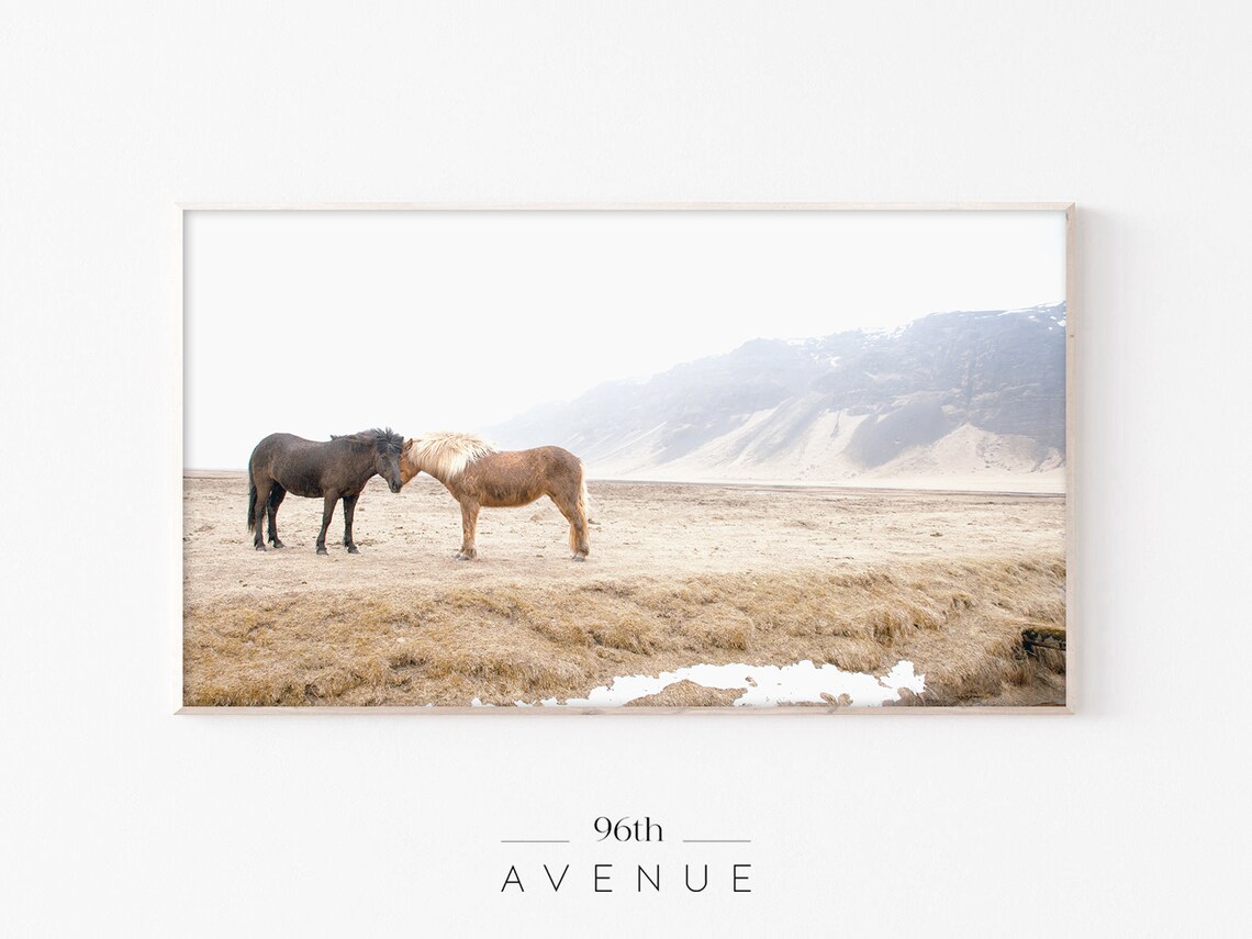 Two Icelandic Horses Nuzzling Field Misty Mountains Photo Poster