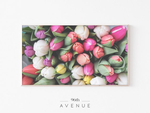 Spring Flowers Art Print for TV