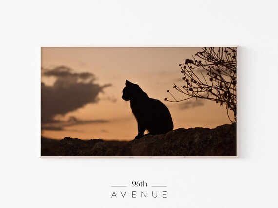Black Cat Silhouette Stone Wall Sunset Warm Golden Animal Poster