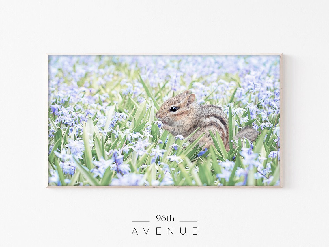 Spring Flower Field Art Print, Meadow Chipmunk