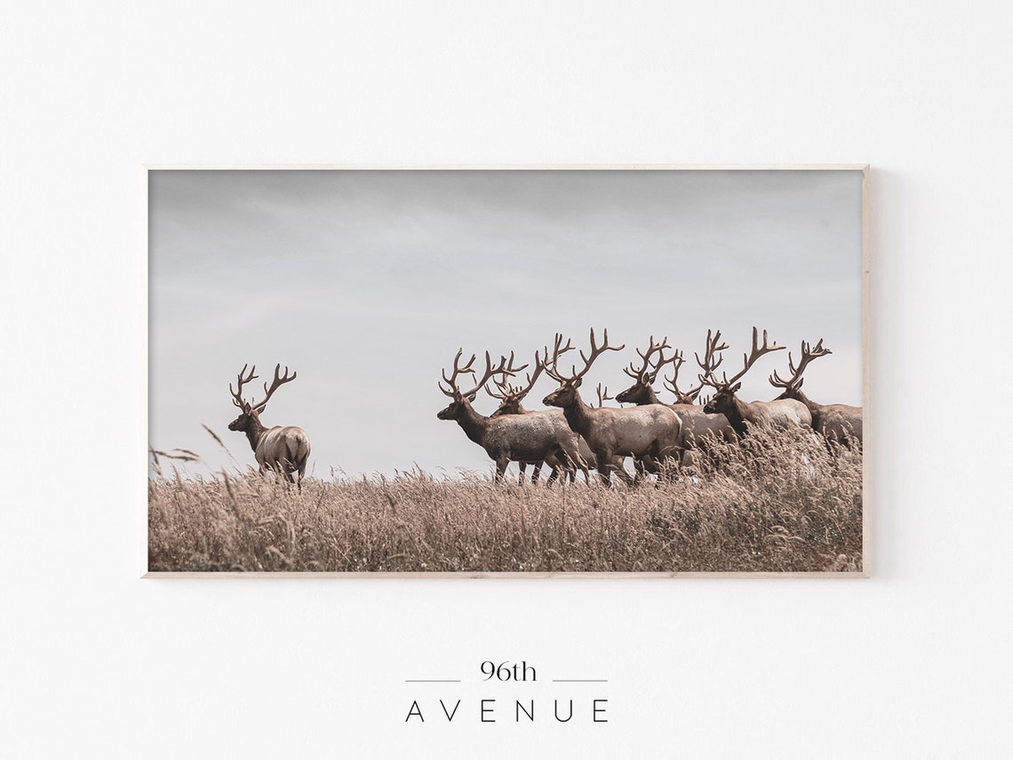 Reindeers Holiday Art
