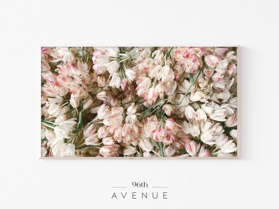 Pink Tulips Spring Art Print for Frame TV