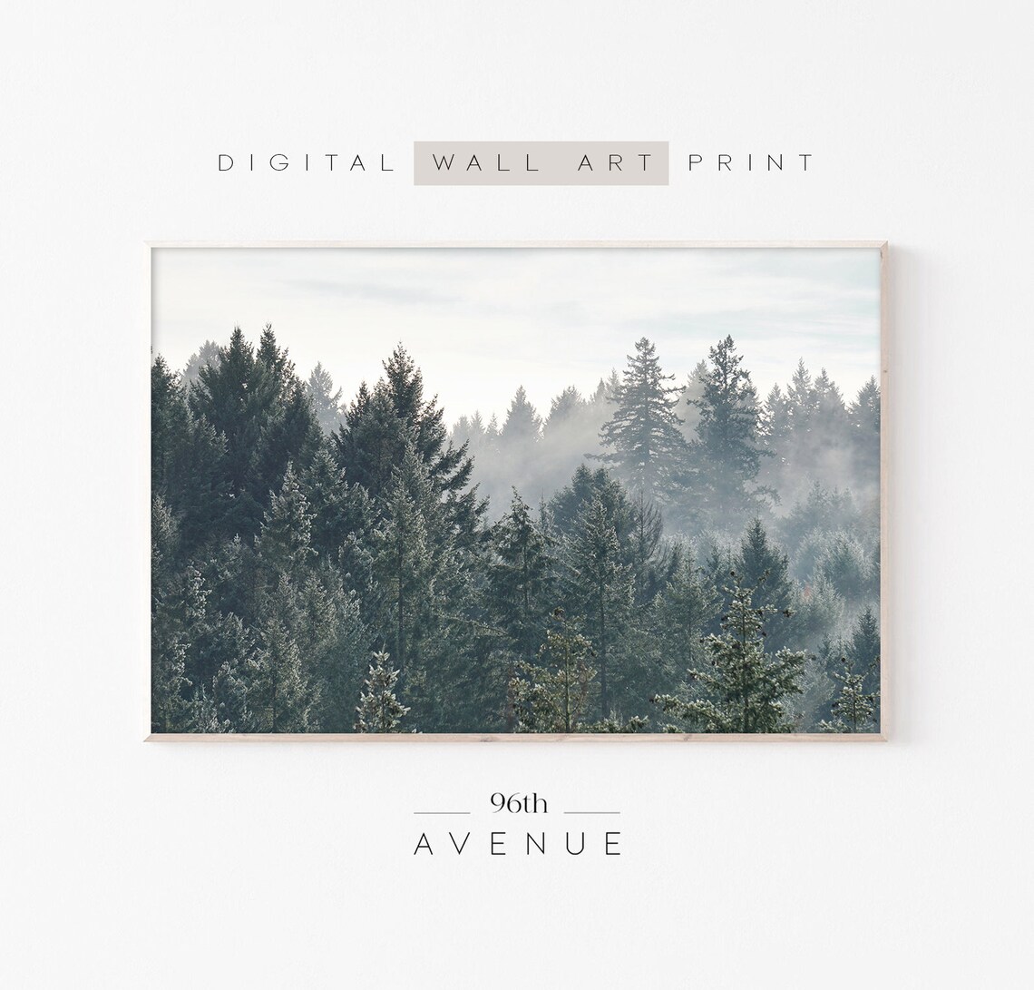 Frosty Evergreen Treetops in Light Morning Fog Serene Photo Poster