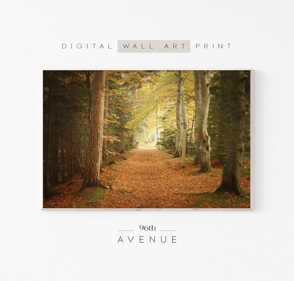 Autumn Forest Path With Fallen Golden Leaves Photography Poster