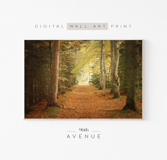 Autumn Forest Path With Fallen Golden Leaves Photography Poster