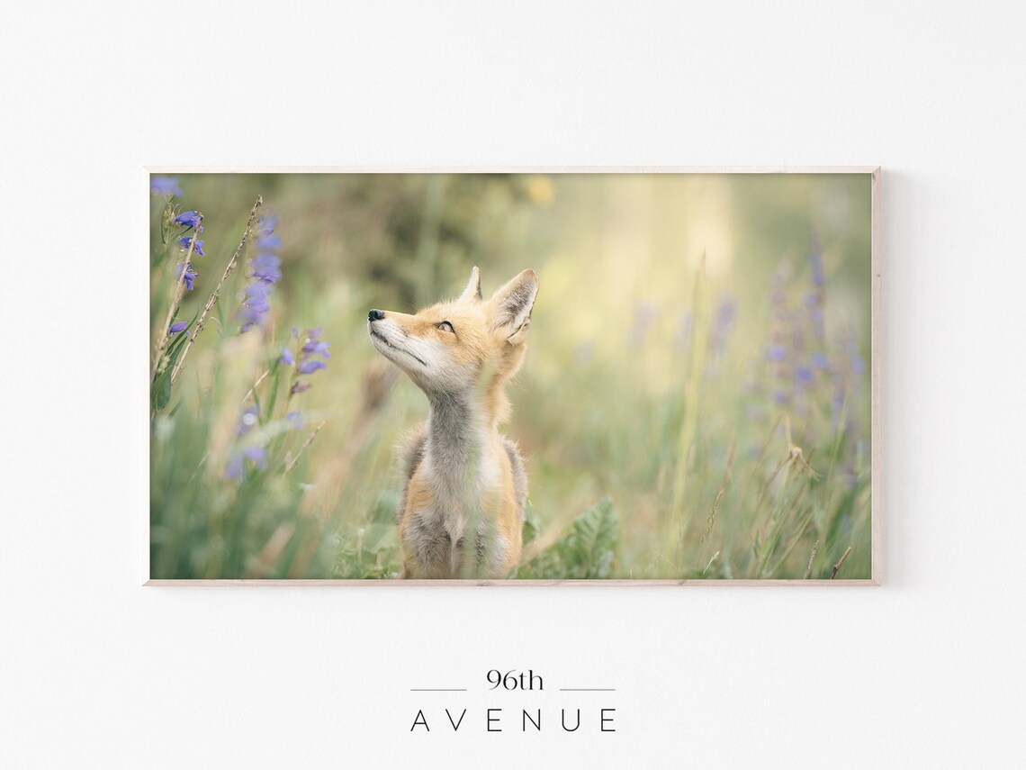 Woodland Animal Art Print, Forest Wildlife Decor