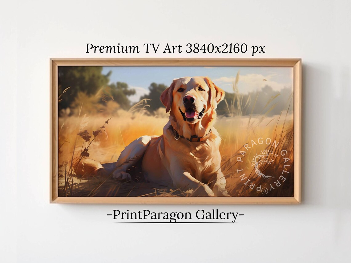 Golden Retriever in Sunlit Field Happy Dog Portrait Animal Poster