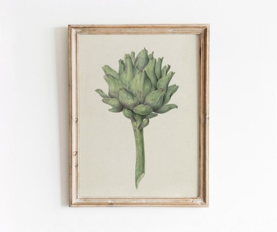 Green Artichoke Vintage Vegetable Botanical Art Print