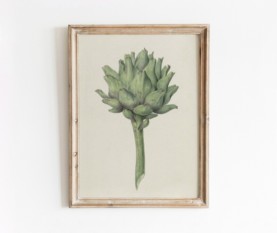 Green Artichoke Vintage Vegetable Botanical Art Print