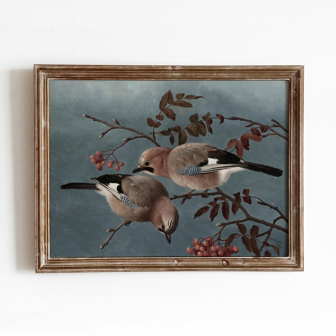 Birds and Berries Vintage Nature Art Print