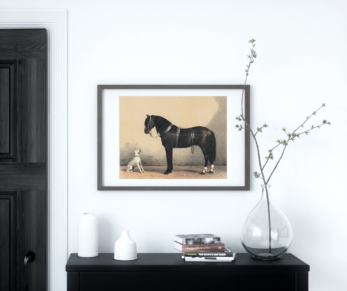 Horse Dog Illustration, Vintage Animal Art Print - Image 3