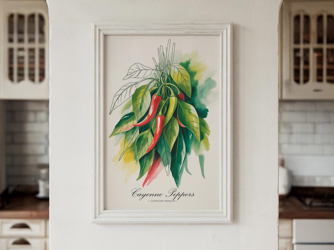 Cayenne Peppers Watercolor Botanical Kitchen Decor Capsicum Wall Art