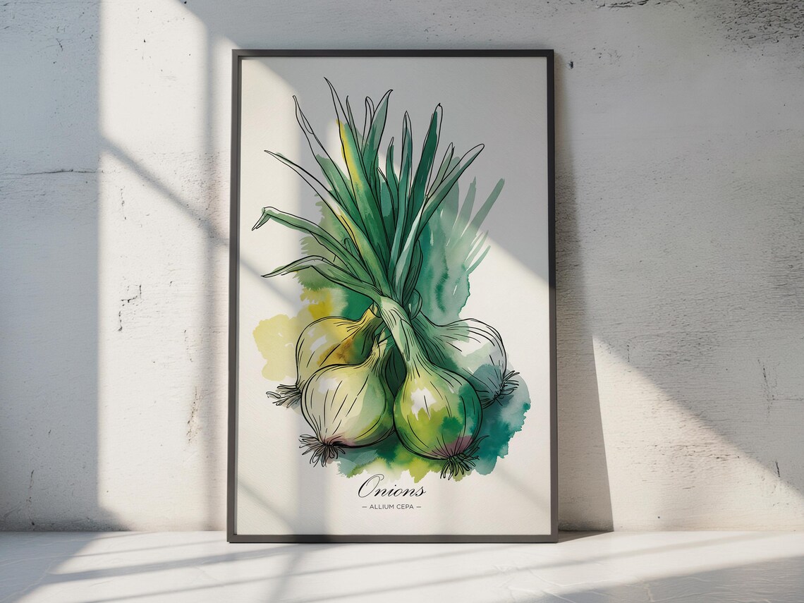 Onion Watercolor Art Print Botanical Kitchen Wall Decor