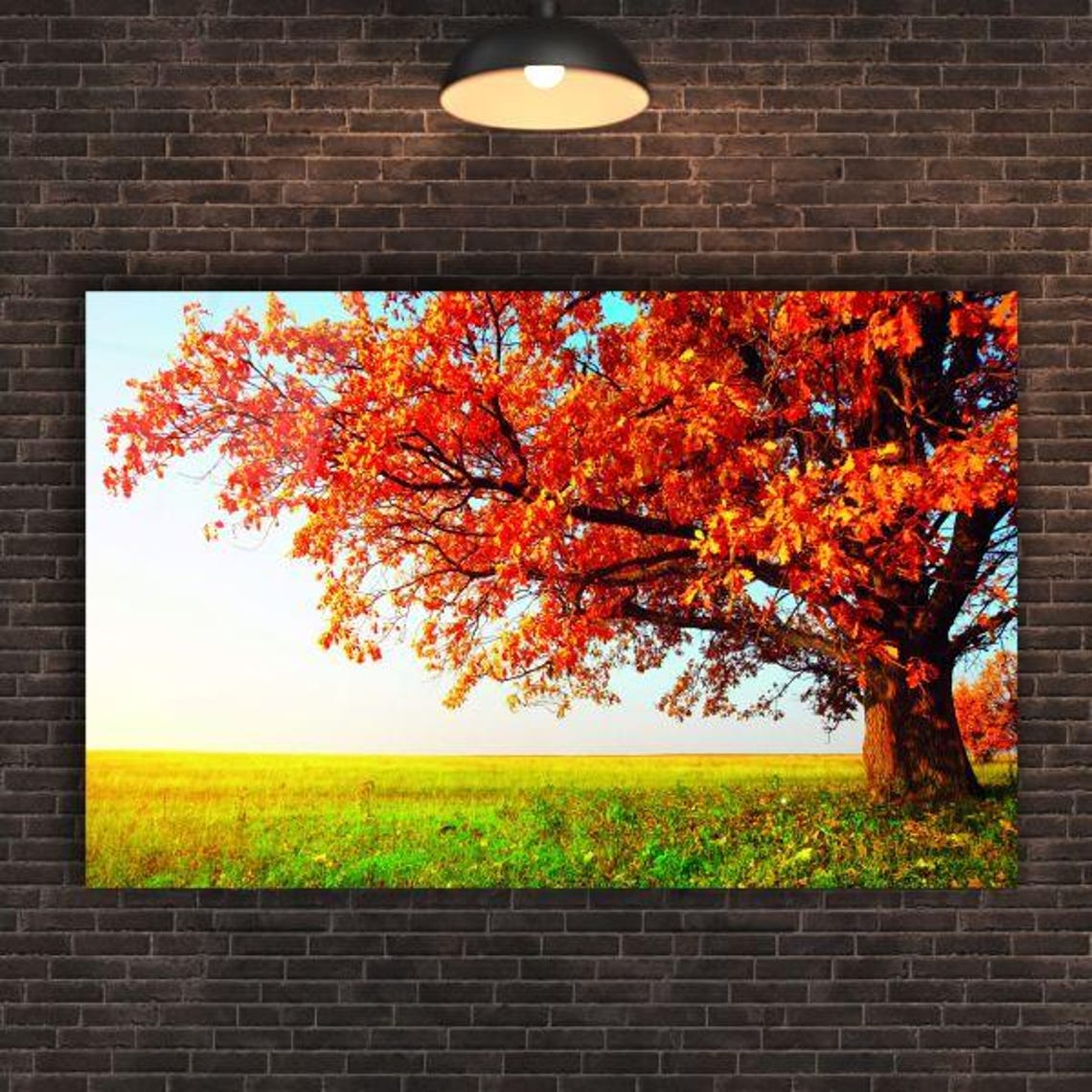 Lone Red Autumn Tree Standing In Green Meadow Fall Landscape Poster - Image 2