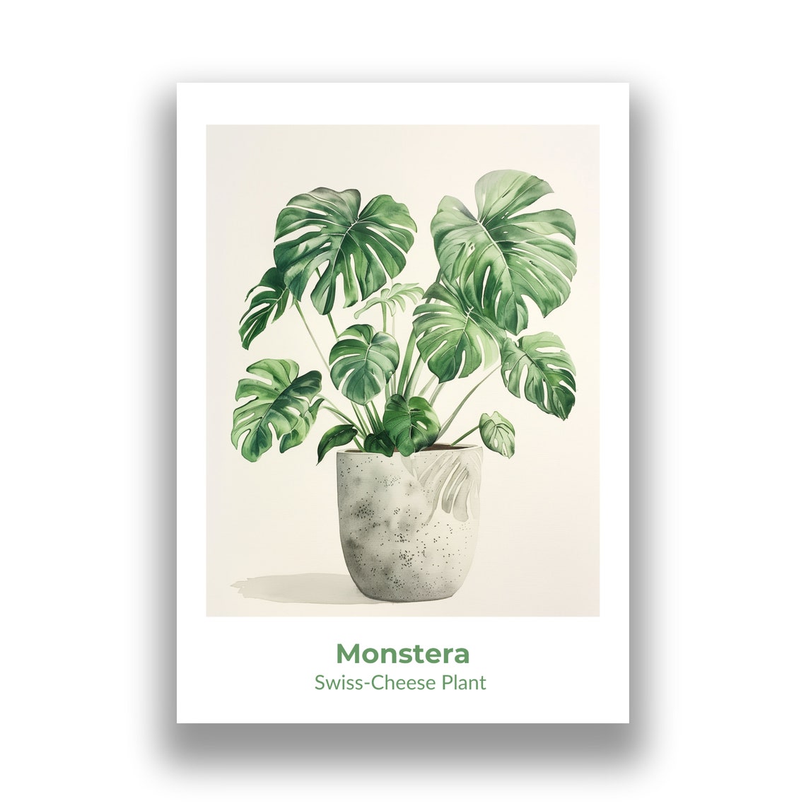 Monstera Swiss Cheese Plant Potted Watercolor Botanical Art Poster - Image 2