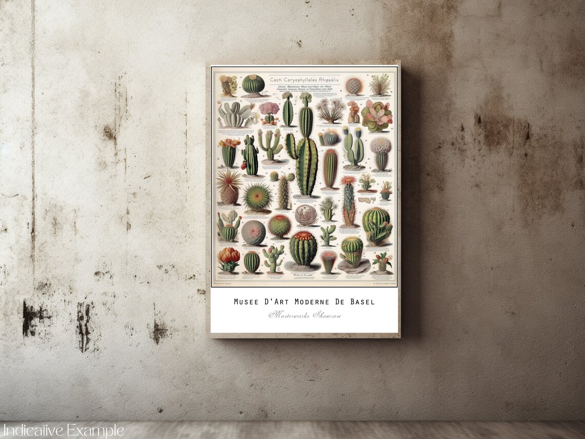Vintage Cactus Chart Haeckel Inspired Botanical Specimen Poster - Image 2