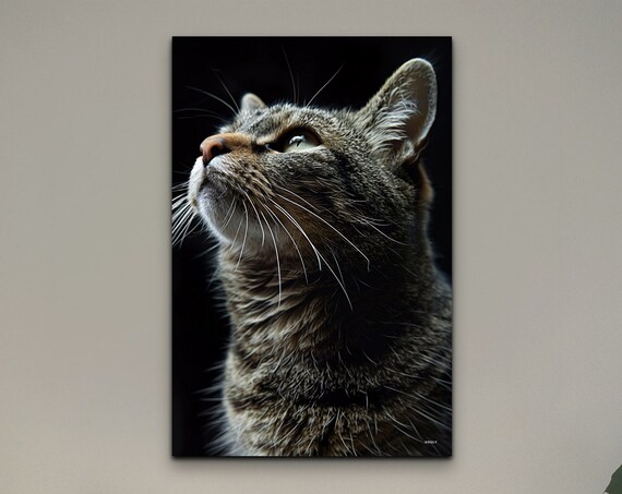Tabby Cat Portrait Looking Up Dramatic Black Background Pet Poster