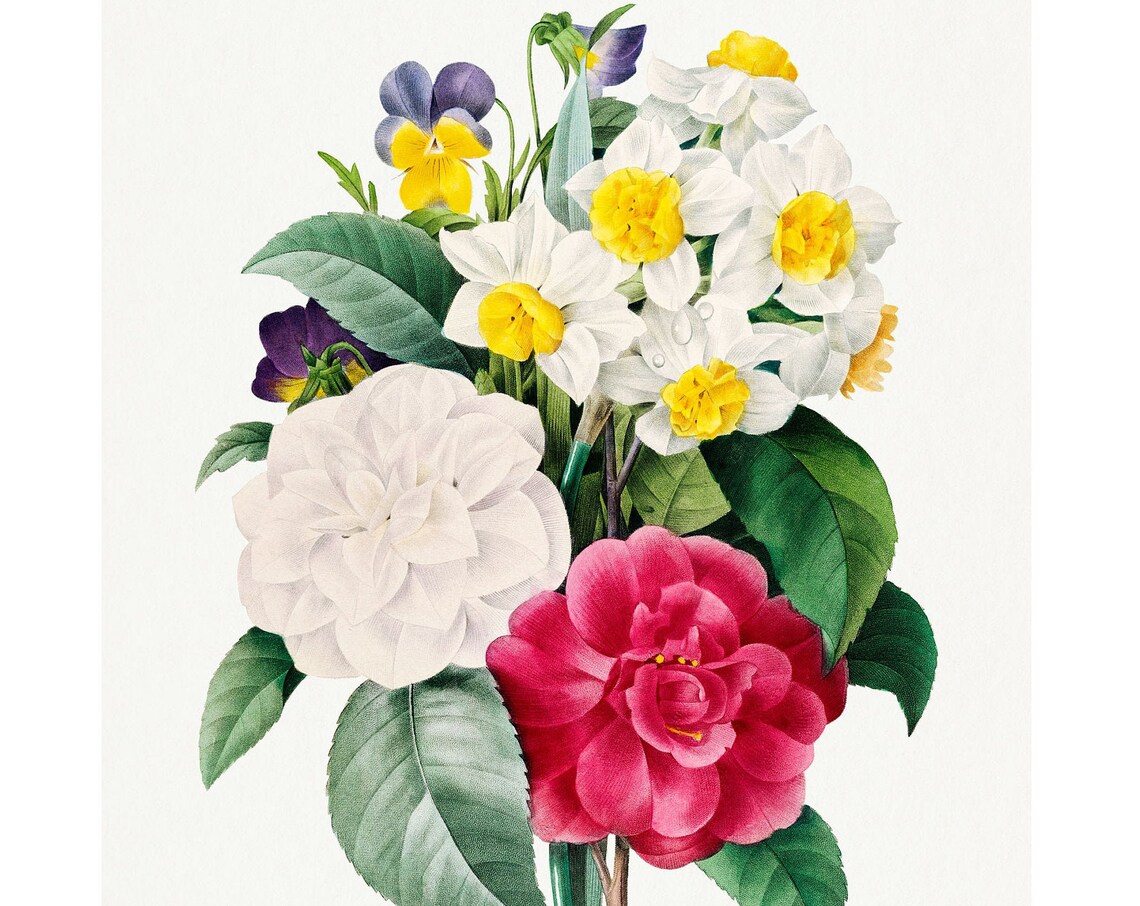 Roses And Daisies Bouquet Antique Botanical 1833 Lithograph Poster