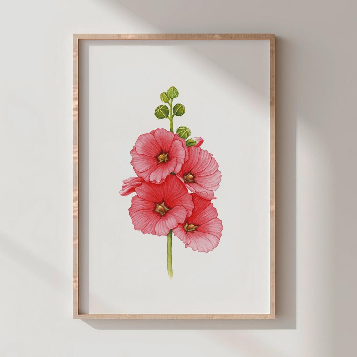 Pink Hollyhock Flower Botanical Watercolor Illustration Poster