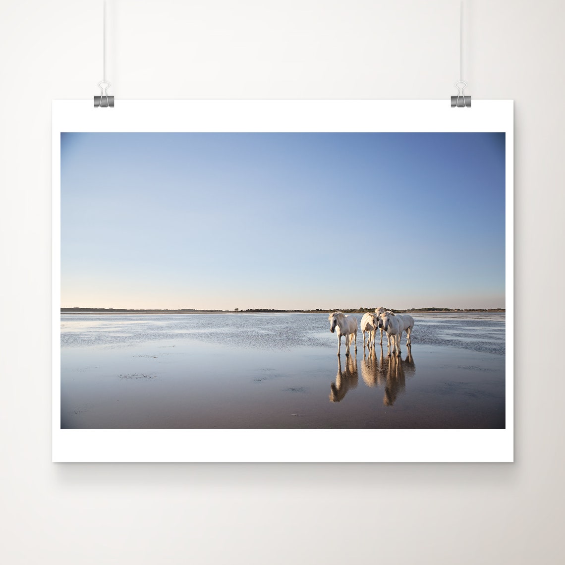 White Camargue Horses Standing Water Reflection Minimalist Poster