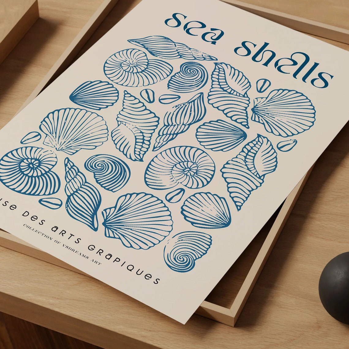 Sea Shells Blue Vintage Specimen Chart Coastal Nautical Wall Art - Image 5