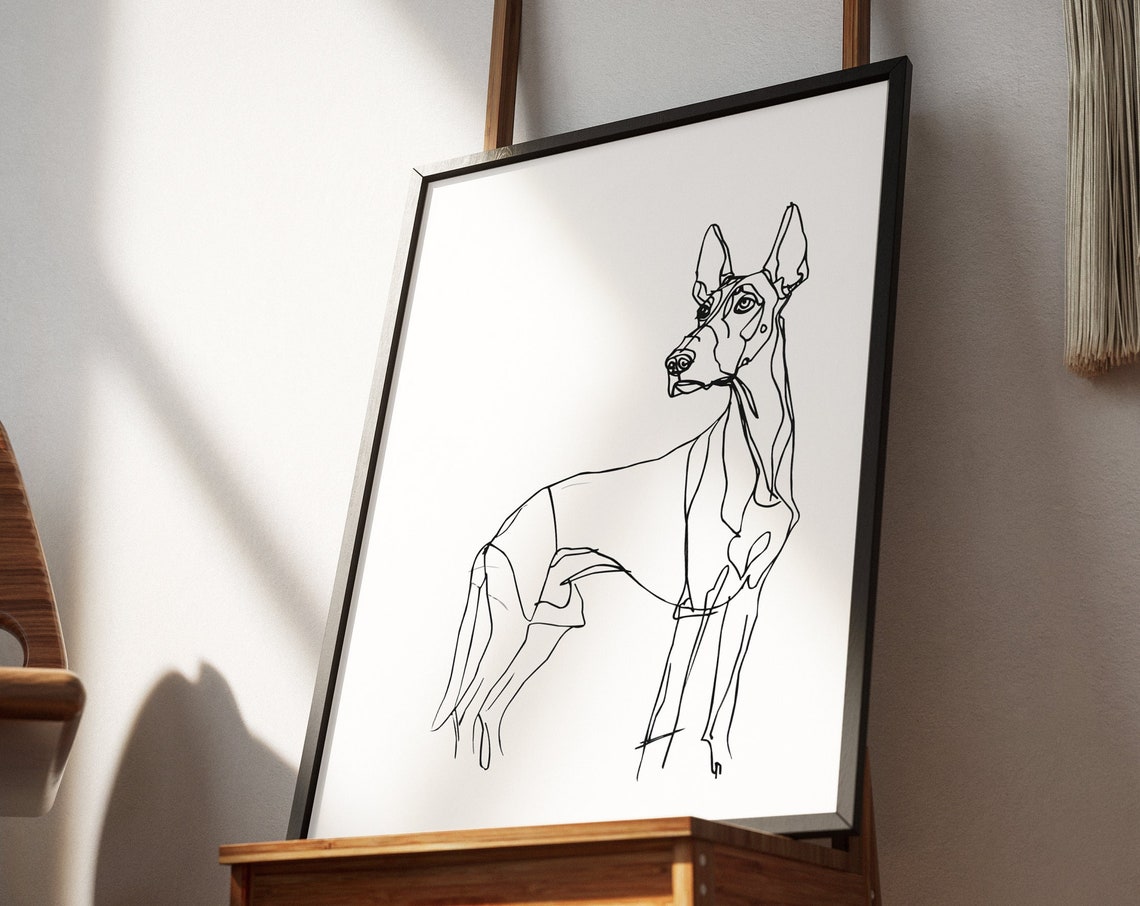 Doberman Standing Sleek Athletic Elegant Line Drawing Art Poster