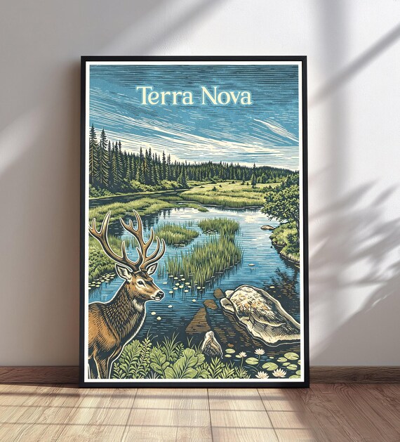 Terra Nova Deer Lake Forest Vintage National Park Travel Poster