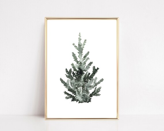 Watercolor Evergreen Pine Tree Minimalist Farmhouse Christmas Wall Art
