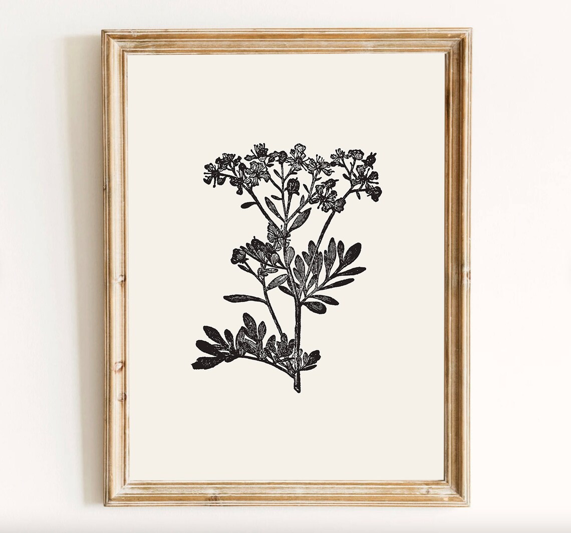 Vintage Floral Illustration, Dark Academia Art Print - Image 2