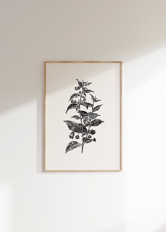 Vintage Botanical Illustration, Moody Floral Art Print