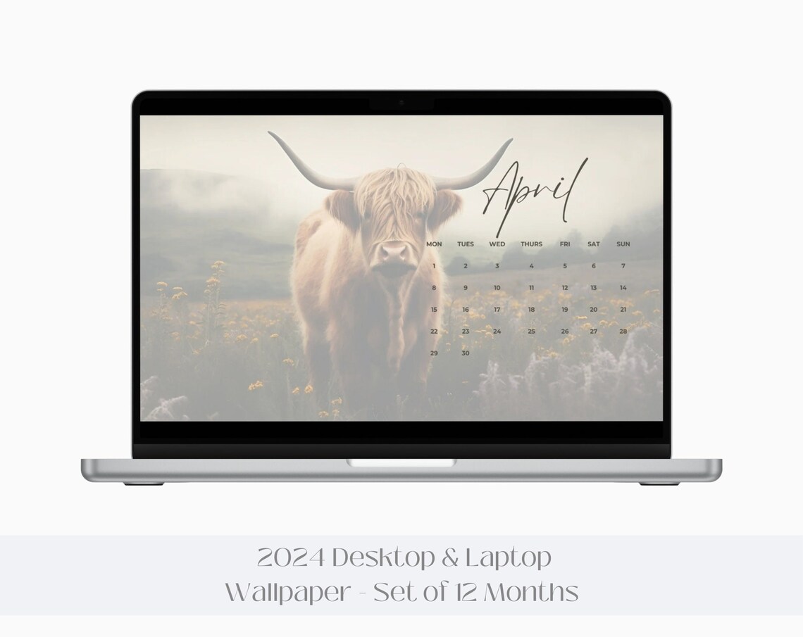 April Highland Cow 2024 Desktop Wallpaper Calendar Set Poster