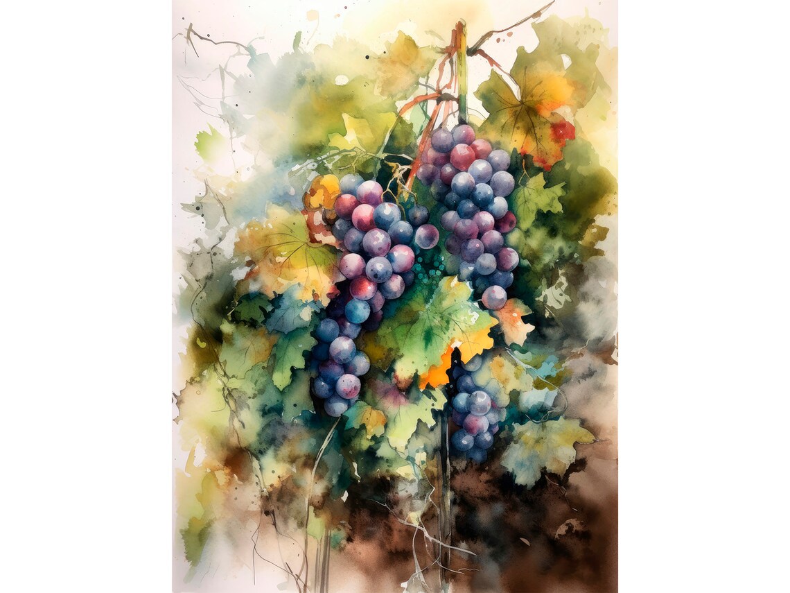 Grapes Watercolor Art Print, Napa Valley Vineyard
