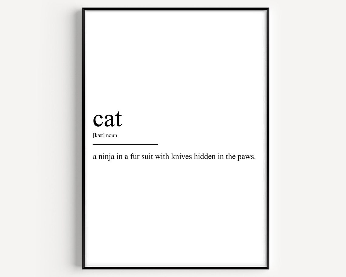 Funny Cat Definition Ninja in a Fur Suit Bold Typography Poster