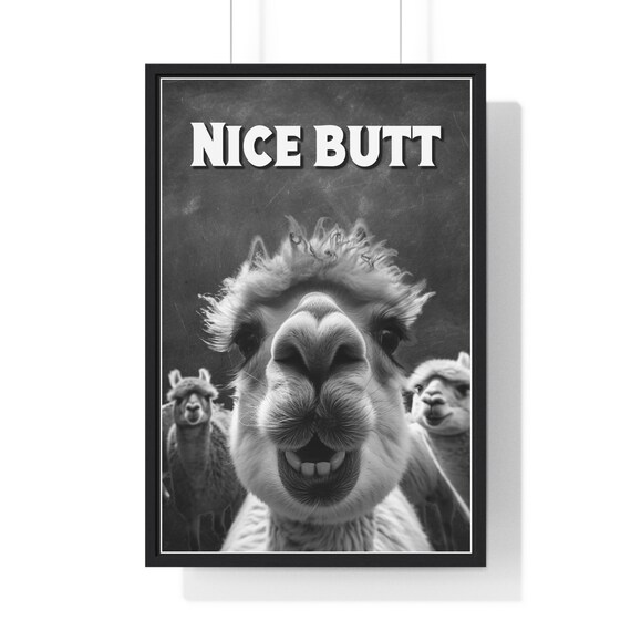 Alpaca Selfie Framed Close-Up Nice Butt Funny Bathroom Quote Poster