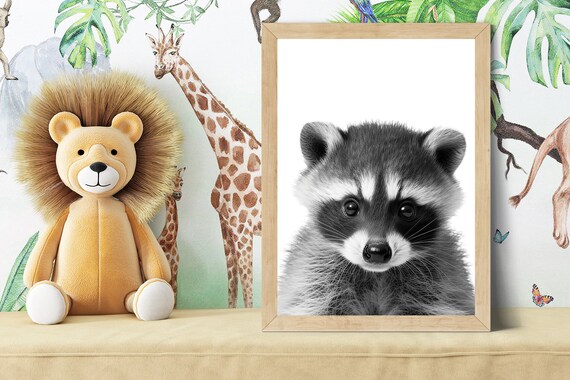Baby Raccoon Kit Portrait in Black and White Nursery Style Poster