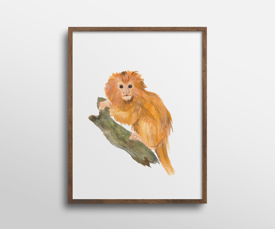 Golden Lion Tamarin Monkey Nursery Watercolor Art Print