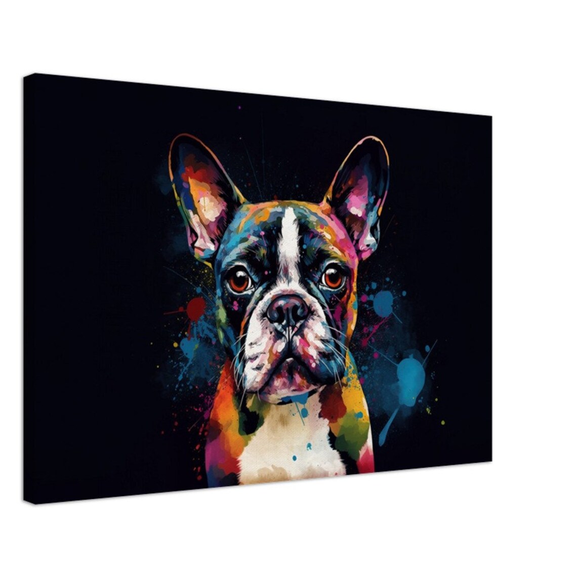 Boston Terrier Pop Art Portrait on Black Colorful Modern Dog Poster