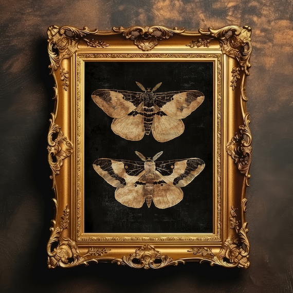 Rustic Moths Dark Academia Gothic Art Print