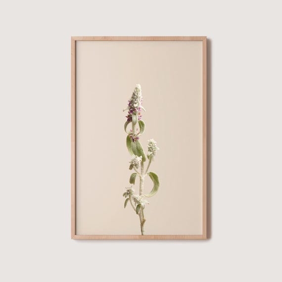 Floral Photography Print Modern Botanical Wall Art