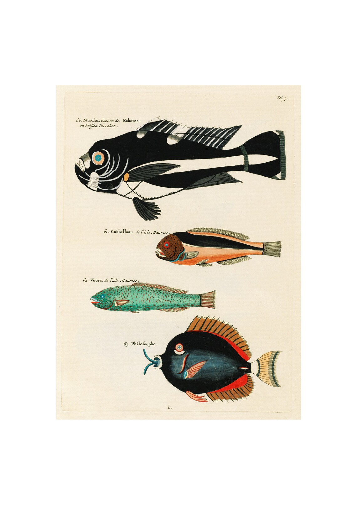 Louis Renards Fish Folio 9, Sea Life Art Print