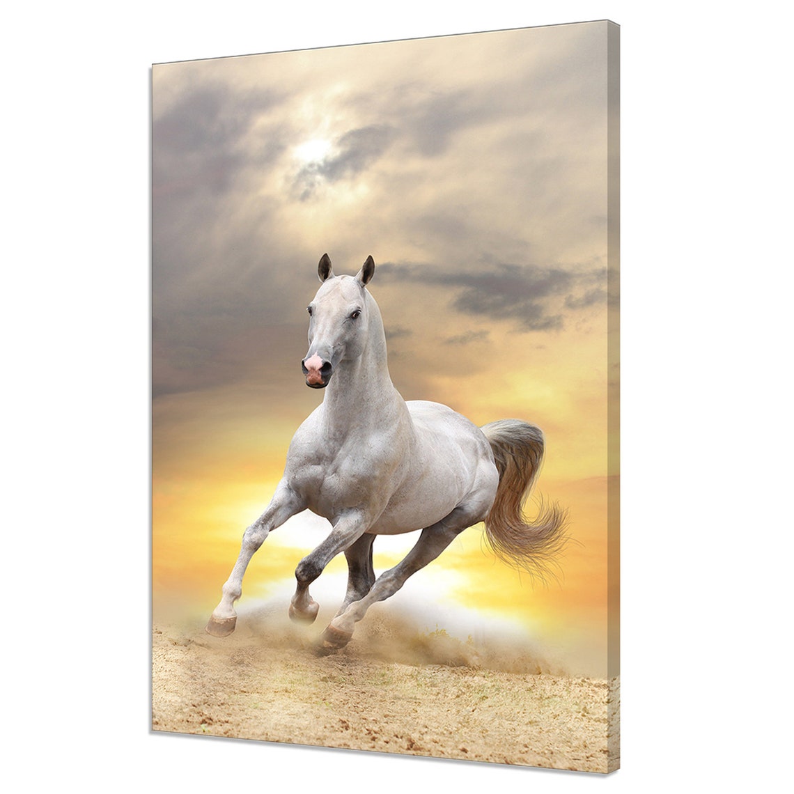 Majestic White Horse Galloping Golden Sunset Dust Desert Art Poster
