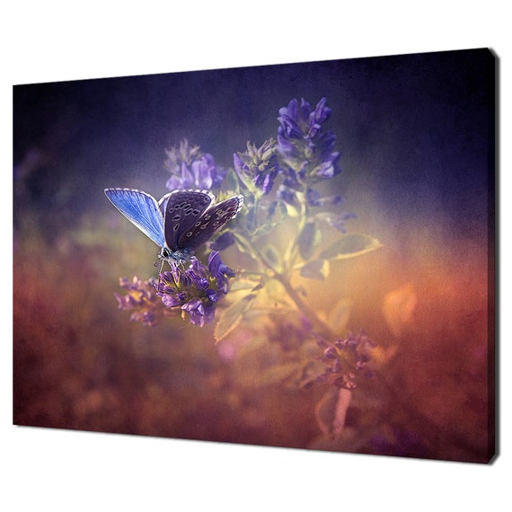 Butterfly Blue Flowers Mist Modern Design Home Decor Print Wall Art Picture
